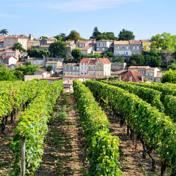 Bordeaux vineyards